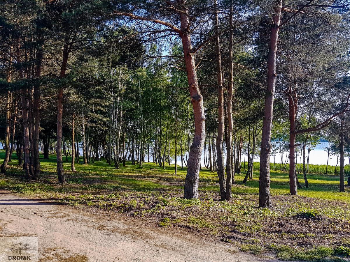 Hotel Zagiel Niewiesze Екстер'єр фото